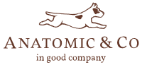 Anatomic & Co Mens Gel Tucano (Vintage Rust)